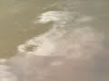 The Thing in the Water