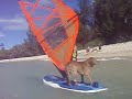 KEAWE WINSURF KEAWE WINSURF