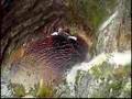 Assistir ao v�deo