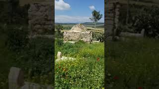 لوبيا..ما تبقى من المقبره.. بلد الانتصار على الغزاه لوبيا..ما تبقى من المقبره.. بلد الانتصار على الغزاه
