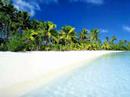 40 paysages