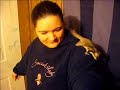 Sugar Glider fun