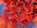 Waltz Autumn ~ By Emi Waltz Autumn ~ By Emi