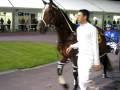 videos de Auckland Reactor - Birdcage at Alexandra Park before Franklin Cup 2008