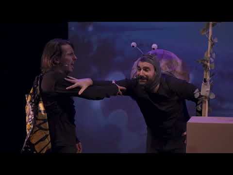 Image de prévisualisation YouTube