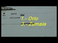Gipuzkoako Trainerilla Liga Amaiera Jubenilak