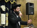 Berel Rocking Springfield 2 Berel Rocking Springfield 2