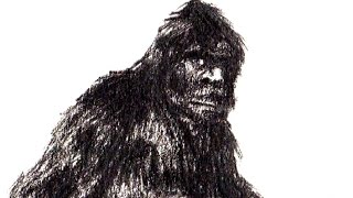 MICHIGAN MONSTERS: Big Foot (VIDEO)