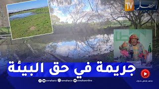 الشيخ النوي: كارثة في غابة بوشاوي.. مياه الصرف الصحي تقضي على الأخضر واليابس