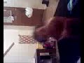 leila singing \