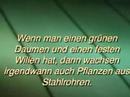 �VP Gartenbuch