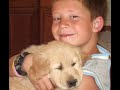what hurts the most from a dogs eyes