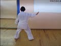 tai-chi-form-24-taiji.html