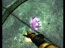 Caturday for the Oblivion folk