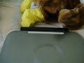 Coby V-ZON Portable DVD Player Review