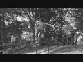 Charlotte Street Comp.06