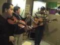 Wild Oats: Bluegrass Music