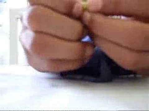 how to plant orange seeds