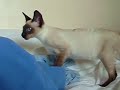 SNIKT! AND THWIP! AGED 18 WEEKS