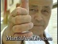 soke takayuki kubota 10th dan gosoku ryu