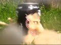 Cola Zero gets shot by airsoftgun Cola Zero gets shot by airsoftgun
