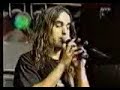 Dinosaur Jr perform The Lung live