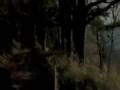 videos de sesja_sopatowiec