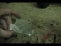 Easy Snake Skin Paint