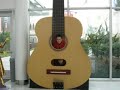 Guitarrero