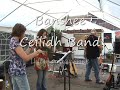 irish tune played at the bridge inn chepstow. have a 