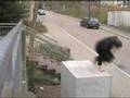 Parkour Pforzheim - Low Gravity - 05