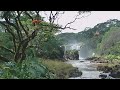 Boiling Pots - Gushing Boiling Pots - Gushing