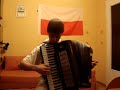 jozin z bazin  józek z bagien  accordion version  akordeon