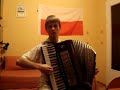 jozin z bazin  józek z bagien  accordion version  akordeon