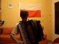 Jozin z Bazin- Józek z Bagien- accordion version- akordeon