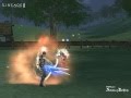 Lineage II - Shillien Templar vs Duelist