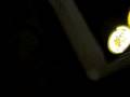 videos de electro flogger ( peye y poroto )