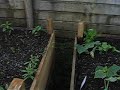 Wow! The Vegies are Growing!