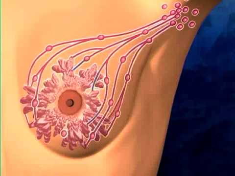 how to unclog a lymph node