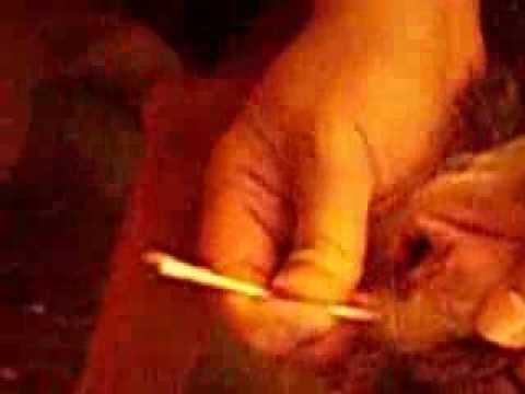 how to apply zymox otic