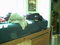 bedvaulting