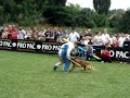 MONDIORING DRESAJ,ATTACK DOGS, GREEN DOGS, KNPV DOGS, FOR SALE DOGS - BESTK9NATION.COM