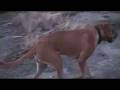 videos de 12:02:20007.mov