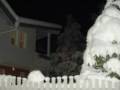 videos de Chalet Kneissl