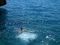 Tuffo con capriola dal trampolino