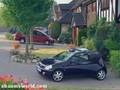 Cat vs. Car