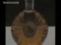 New Scientist Technology for Photos/Paintings