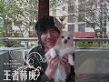 Super Junior Heechul and Hangeng's Pets