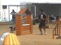 Dog Agility (Jun/27/2007 JKC Final Jumping Large Vol.1)