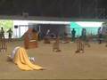 Dog Agility (Jun/27/2007 JKC Final Jumping Large Vol.1)